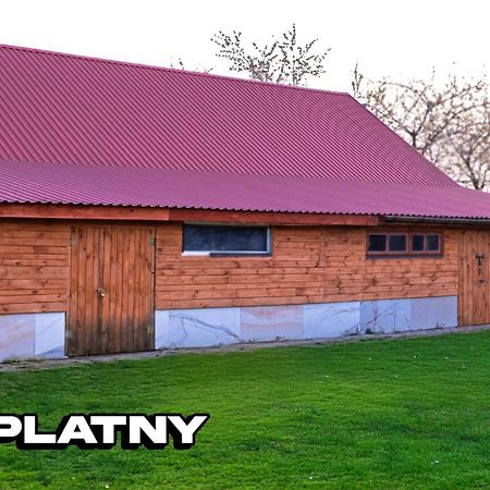Agroturystyka Nielisz Zamosc - Kwatery Przy Skansenie Exterior photo